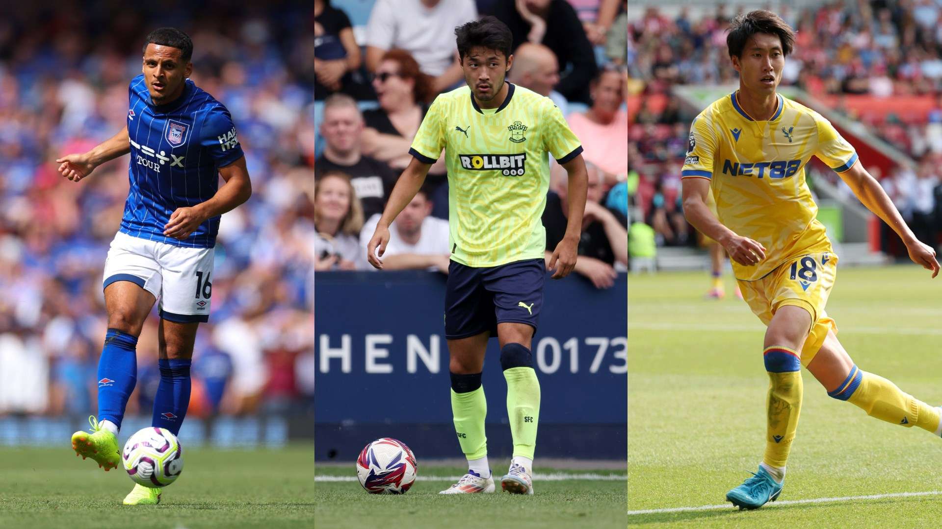 职业生涯带 职业生涯带