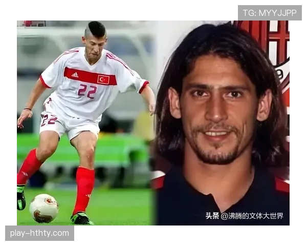 世界杯土耳其队D组竞争力评估 世界杯土耳其队D组竞争力评估